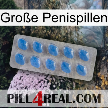 Große Penispillen 22